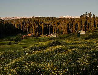 yusmarg_1517207681.jpg